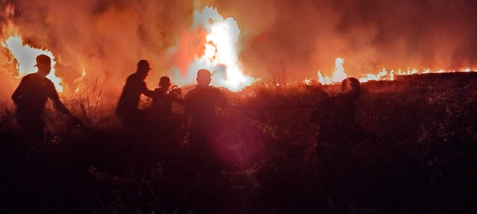 Karhutla Hanguskan Hampir 5 Hektare Lahan di Distrik Tanah Miring, Polisi Merauke Selidiki Asal Api