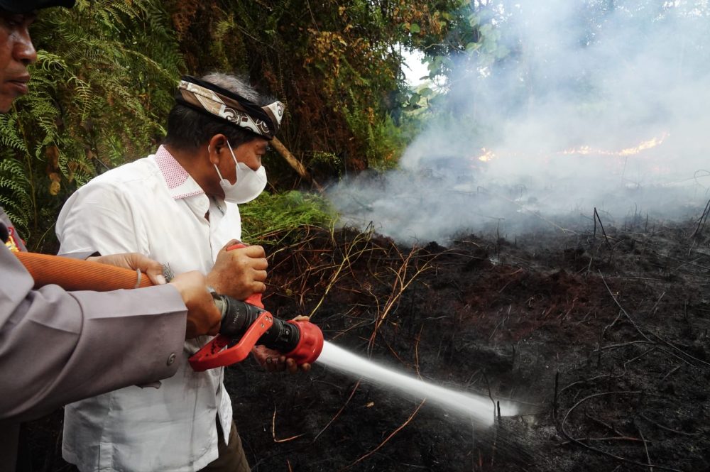 7.634 Hektare Karhutla Kaltara Hingga Juli 2026 Terendah se-Kalimantan, 14 Titik Panas Muncul di Bulungan