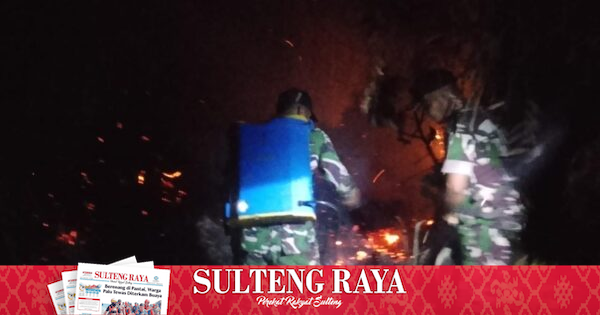 Kebakaran Lahan Sagu Seluas 3 Hektare di Bukal Buol Berhasil Dipadamkan Petugas Gabungan