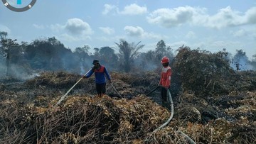 10 Hektare Hutan di Ketapang Terbakar, Cagar Alam Muara Kendawangan Ikut Hangus