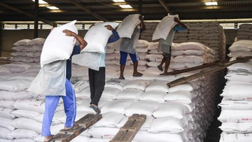 Pupuk Indonesia Raup Laba Rp 8,51 Triliun, Melejit 253 Persen