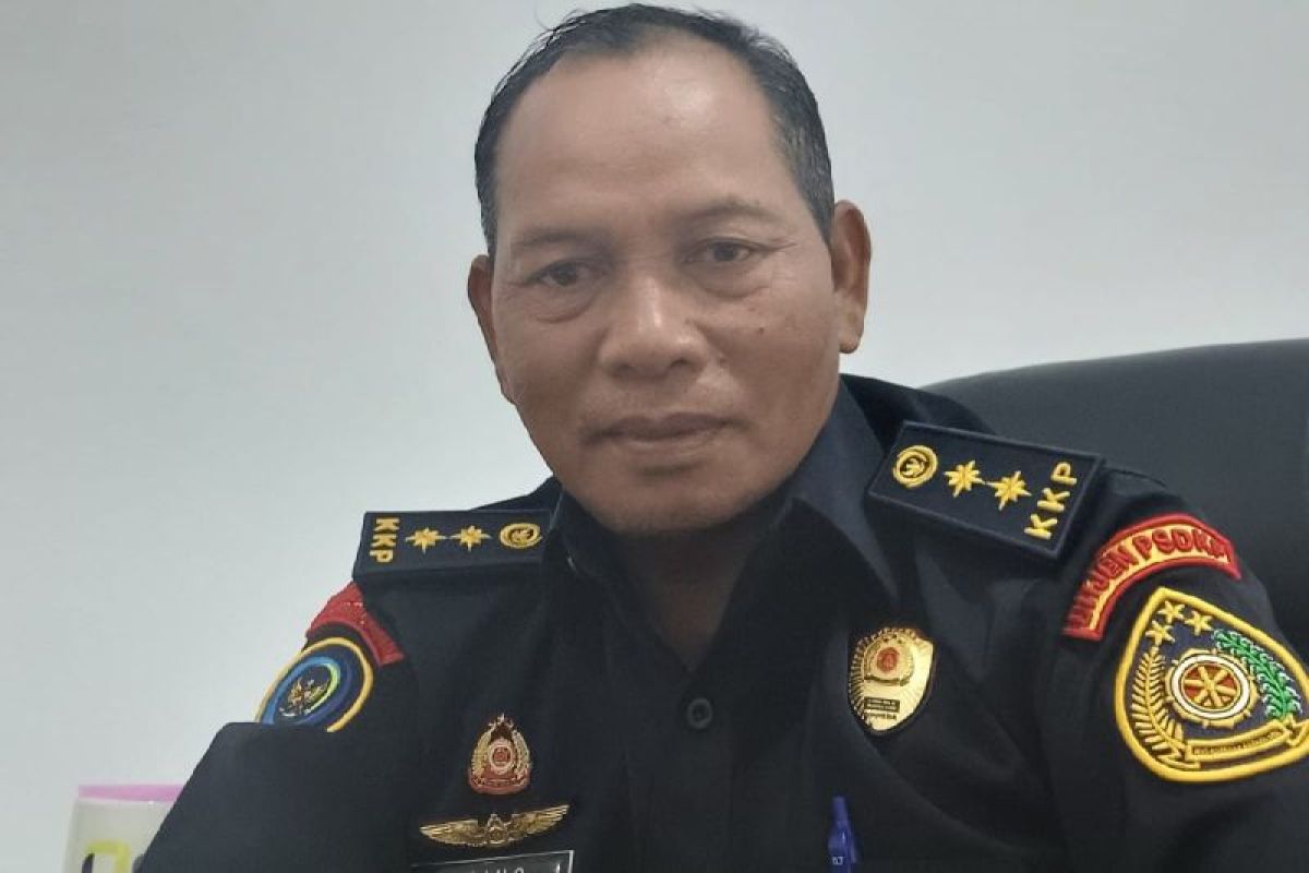 500 Hektare Sawah di Merauke Gagal Panen Akibat Kemarau, Petani Salah Prediksi Cuaca