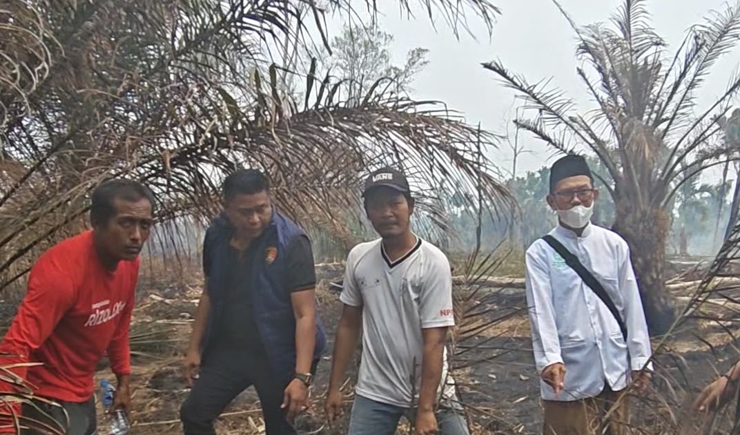 Video Karhutla di Rasau Jaya Tiga Dikaitkan dengan Bibit Sawit, Kepala Dusun Minta Konten Kreator Datang ke Warga