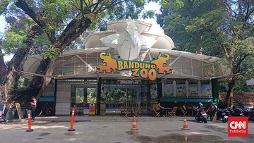Bandung Zoo Siaga Abu Vulkanik Anak Krakatau, Satwa Masuk Kandang Isolasi