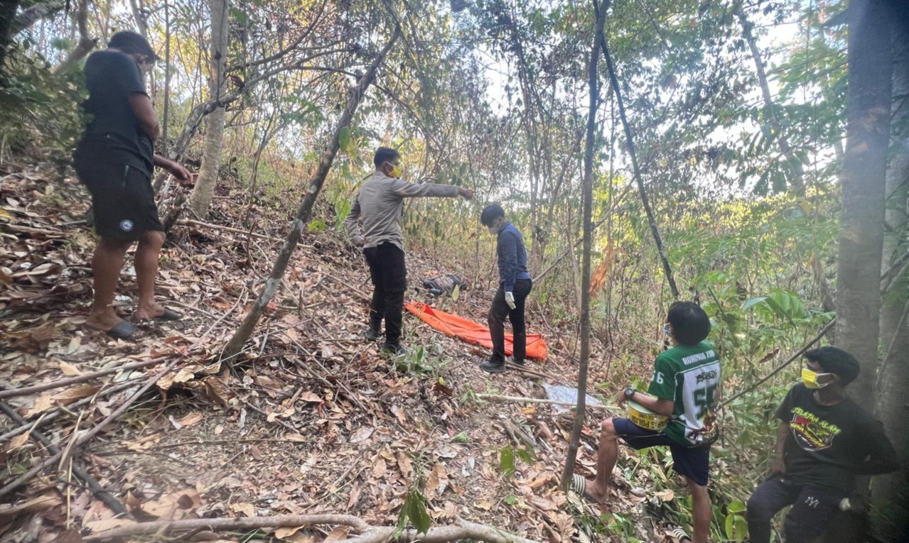 Jasad Pria Membusuk Ditemukan Dua Warga di Perkebunan Perindu Bolmut, Sempat Dilaporkan Hilang Saat Panen Nilam