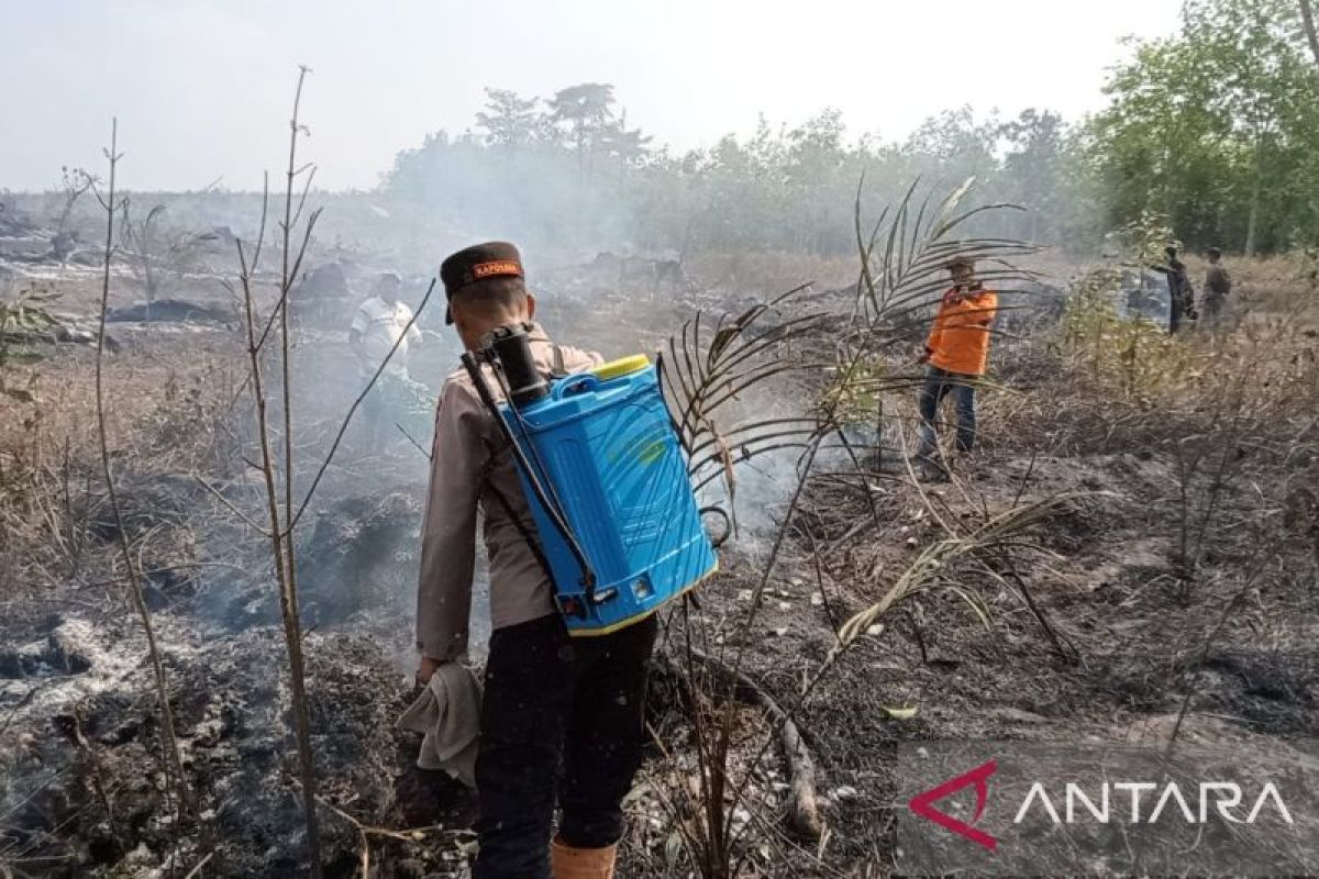 DPR Minta Aparat Usut Lahan Bekas Karhutla Langsung Ditanami Sawit, 138 Tersangka Sudah Ditetapkan Polri