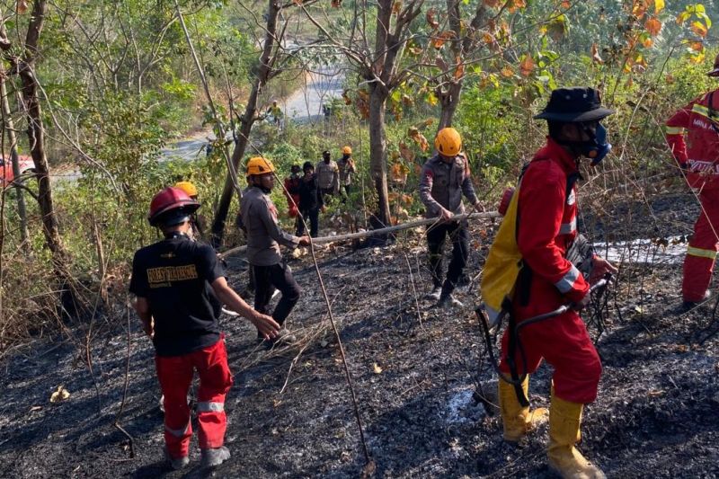 Satbrimob Polda Sulteng Dikerahkan Padamkan Karhutla di 4 Wilayah, 8 dari 73 Hotspot Terkonfirmasi Titik Api