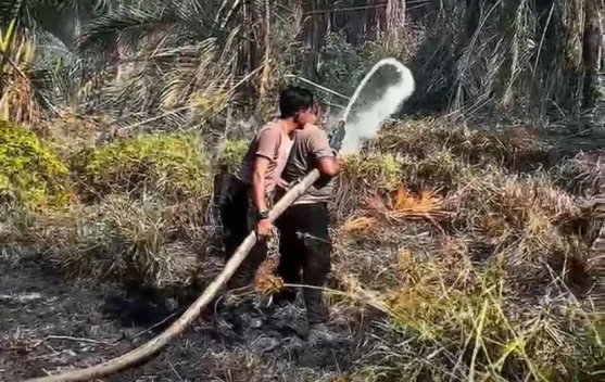 Karhutla di Maluku Sulit Dipadamkan karena Titik Api Jauh dari Jangkauan Personel dan Kendaraan