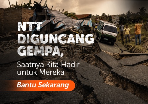 Gempa M 7,7 Guncang Nagekeo NTT, Gelombang Tsunami 0,94 Meter Tercatat di Ende