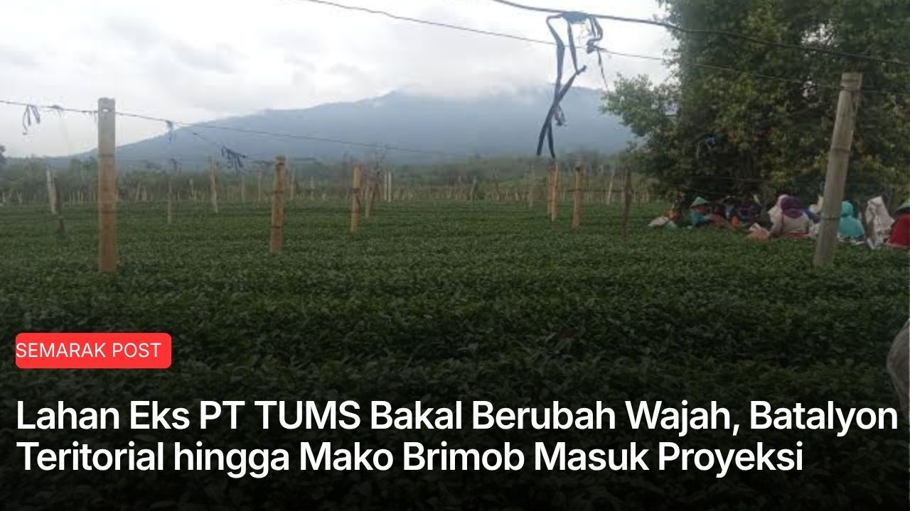 Pemkab Kepahiang Garap Lahan Eks PT TUMS untuk Batalyon Teritorial hingga Mako Brimob, Pemetaan GTRA Jadi Kunci