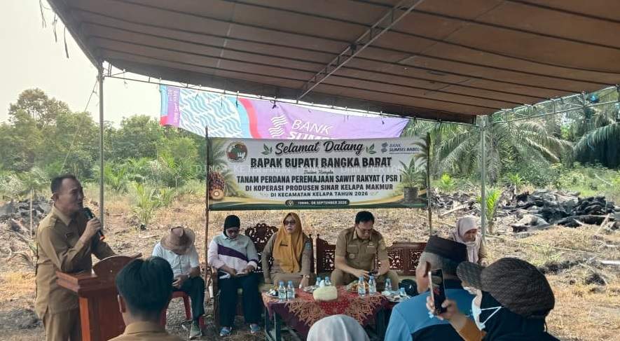 Bupati Bangka Barat Tanam Perdana PSR 2026 di Kelapa, Dorong Hilirisasi Sawit untuk Kesejahteraan Pekebun