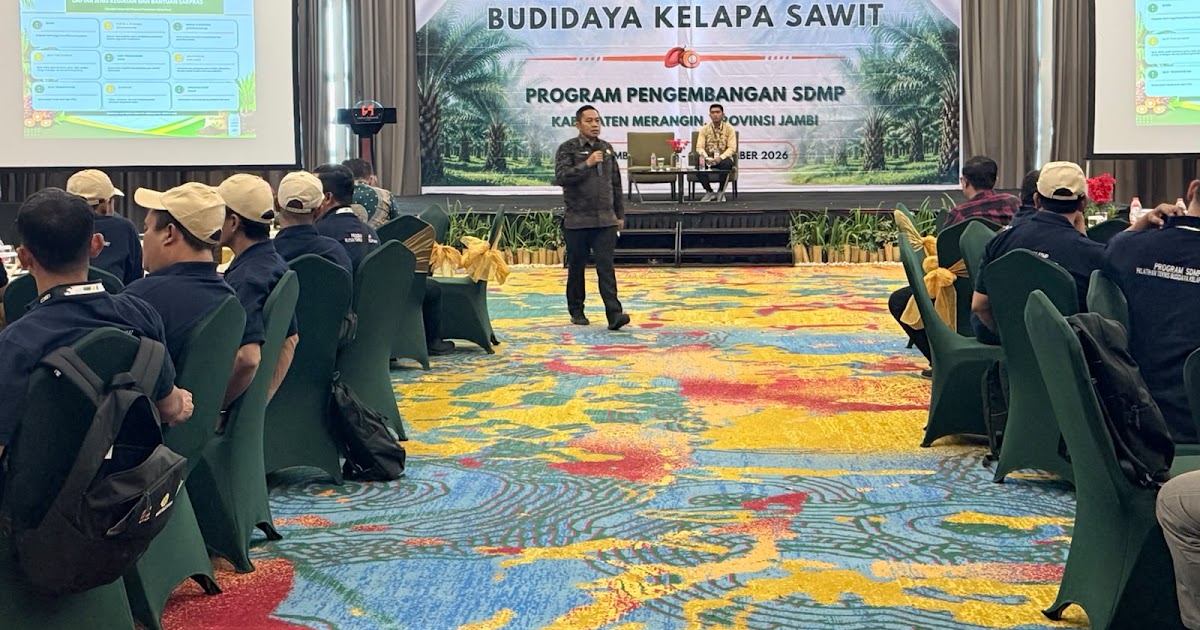 BPDP Latih 80 Petani Sawit Swadaya Merangin di Jambi, Materi hingga Regulasi Lahan Disiapkan