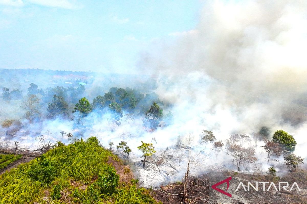 Kabut Asap Karhutla Kepung Kebun Sawit Kalbar, FSBKS Desak Perusahaan Hentikan Kerja di Luar Ruangan