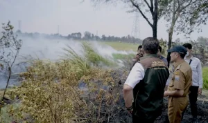 Karhutla di Palembang Capai 297 Titik Sepanjang 2026, Lahan Terdampak 253 Hektare dan Petugas Ditargetkan Bergerak 5 Menit