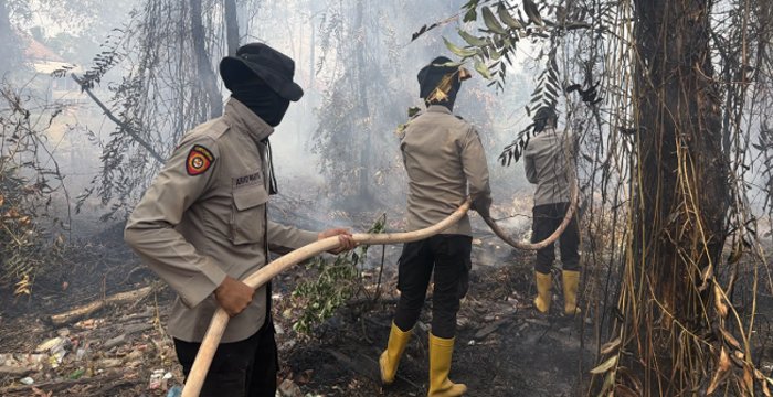 11 Personel BKO Polda Sumsel Padamkan Karhutla di Tulung Selapan OKI, Areal 1 Hektare Terdampak