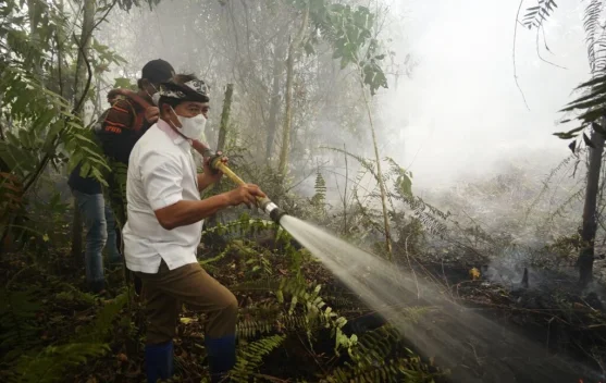 Karhutla di Kaltara Capai 2.639,99 Hektare, Bulungan Jadi Wilayah Terluas Terdampak