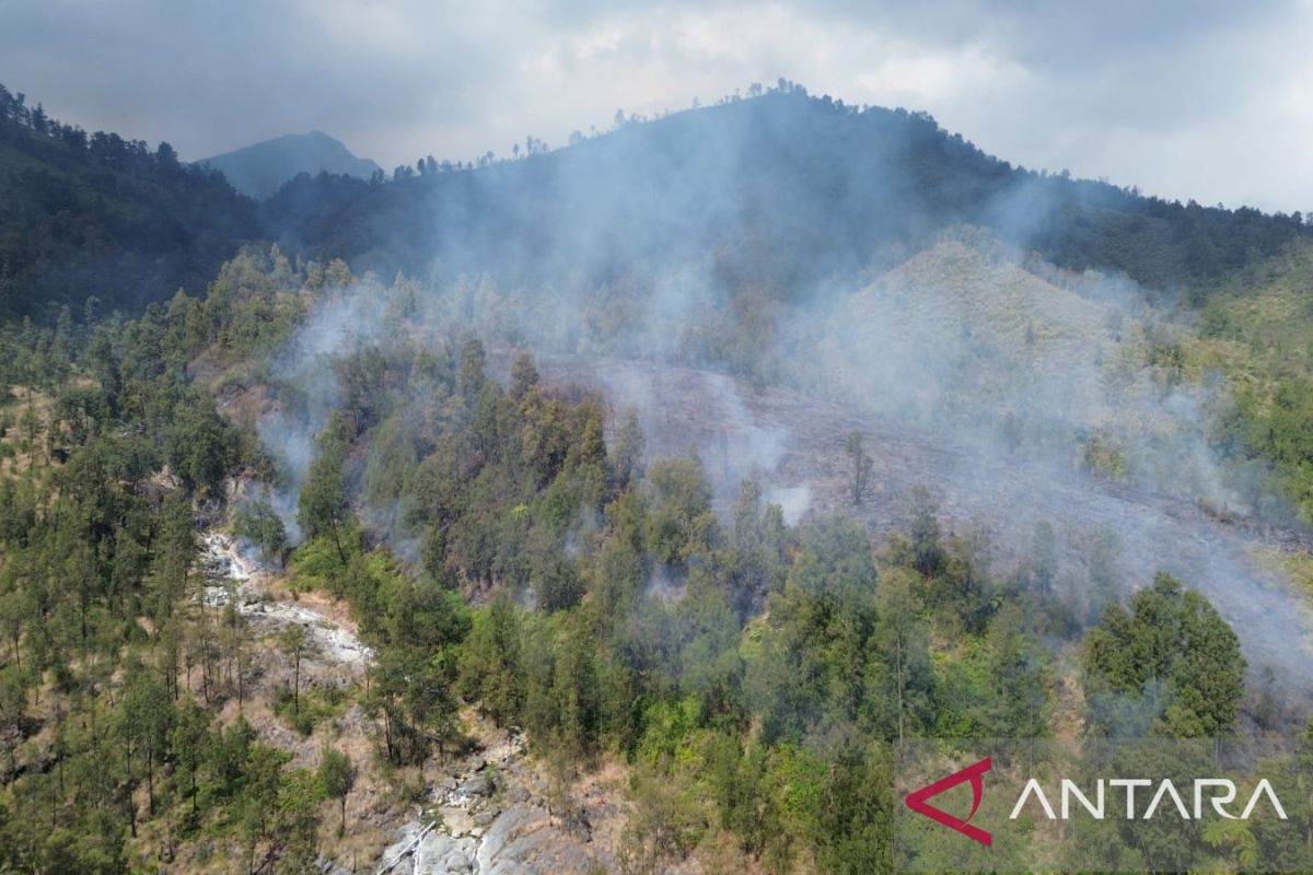 Status Tanggap Darurat Karhutla Kawah Ijen Berlaku 14 Hari, Helikopter Water Bombing Dikerahkan dari Malang