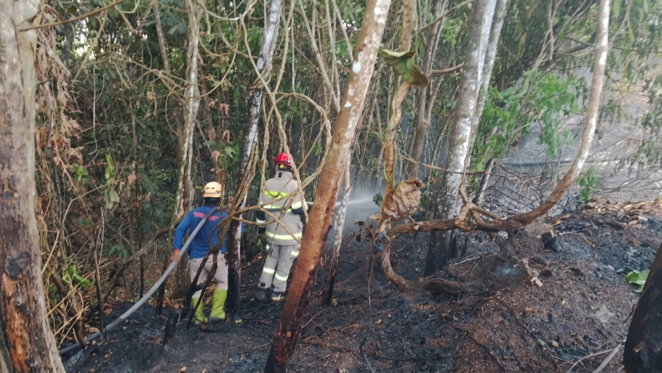 Tiga Karhutla dalam Sehari di Banjar, Api Cindai Alus Dekati Permukiman dan Sempat Terekam Video Warga