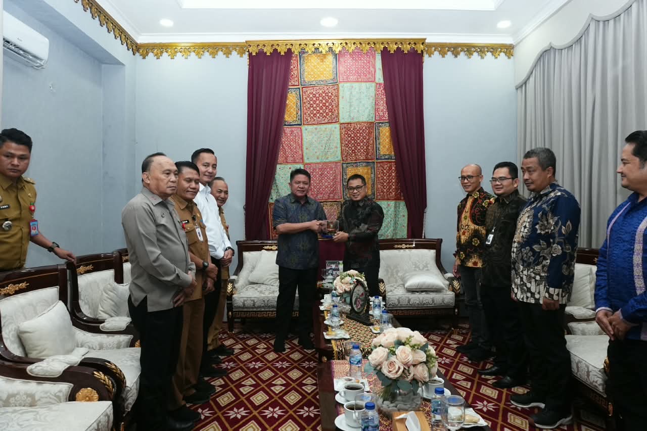 Gubernur Sumsel Herman Deru Terima Kunjungan Manajemen PLN, Bahas Strategi Antisipasi Gangguan Kelistrikan Akibat Karhutla
