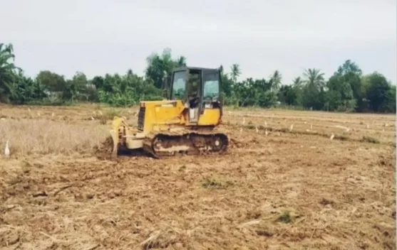 Pemerintah Alokasikan Rp48,47 Miliar Rehabilitasi 4.173 Hektare Sawah Rusak di Aceh Tamiang