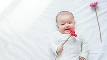 150 Nama Bayi Terinspirasi Bunga Dahlia untuk Laki-laki dan Perempuan