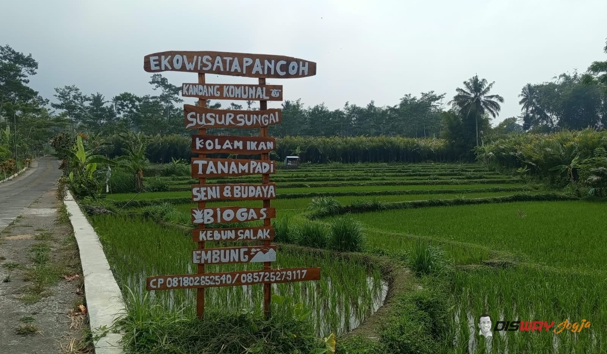 Ekowisata Pancoh Sleman, Wisata Edukasi Desa Berbasis Warga Girikerto