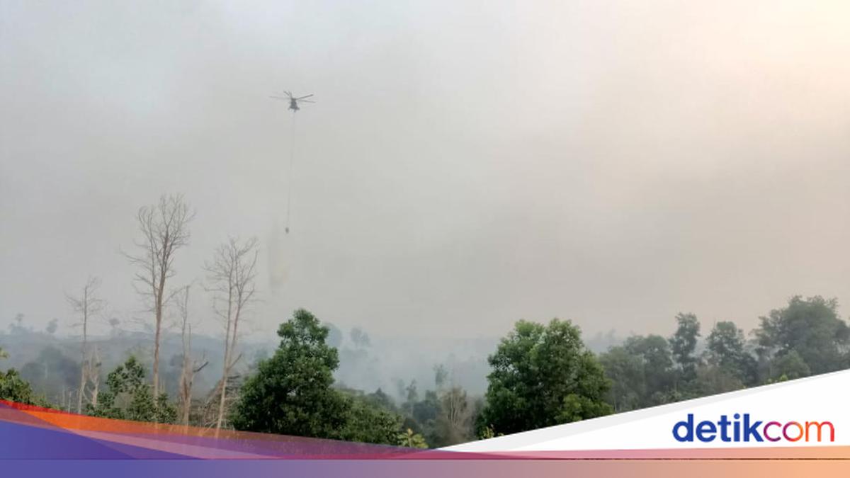 Karhutla Jambi Capai 12,6 Ribu Hektare, KKI Warsi Minta Lahan Bekas Terbakar Dipantau Ketat