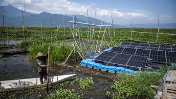 Pertamina Patra Niaga Sulap Lahan Kalijaran Cilacap Jadi Pertanian Berenergi Surya