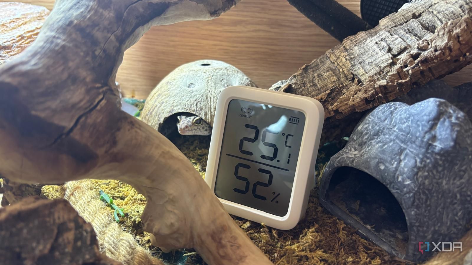 Sensor Rp 250 Ribu Ini Bikin Smart Terrarium Rp 2,5 Juta Tak Lagi Perlu