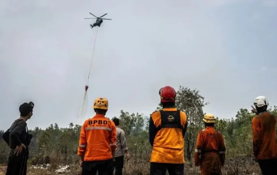Satgas Udara Padamkan 667,50 Hektare Karhutla di Kalsel, 4 Helikopter Water Bombing Dikerahkan