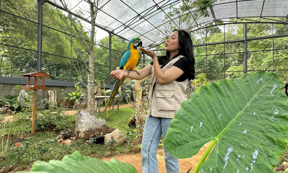 Promo September Rivera Bogor: Beli 1 Tiket Terusan Gratis 1 Tiket HTM