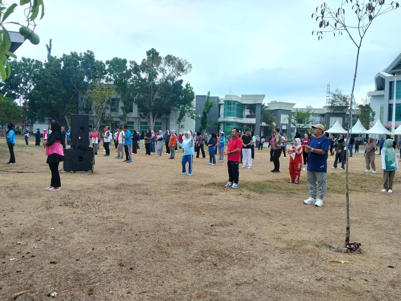 Gubernur Suhardi Duka Ajak ASN Sulbar Aktif Bergerak, DKPPKB Tekankan Senam Rutin 30 Menit demi Kesehatan