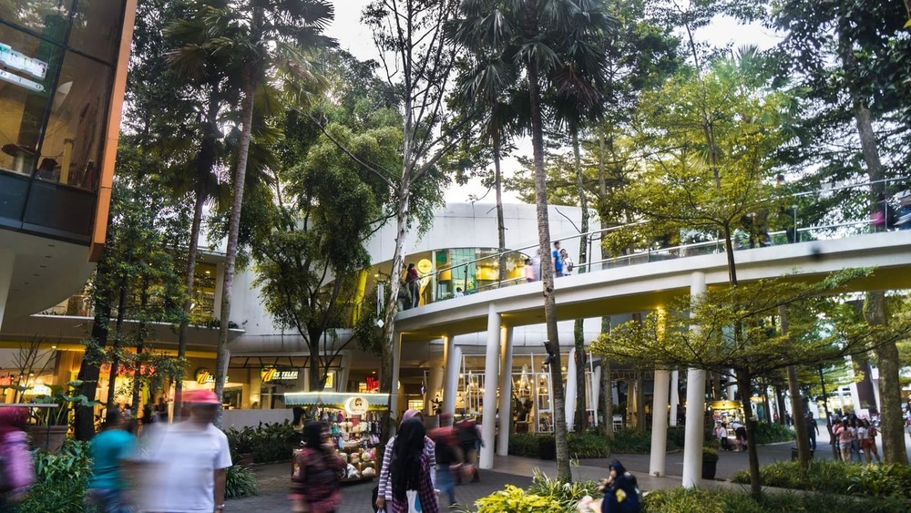 5 Rekomendasi Liburan di Bandung yang Wajib Dicoba