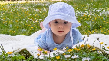 150 Nama Bayi Terinspirasi Bunga Daisy dan Artinya untuk Si Kecil