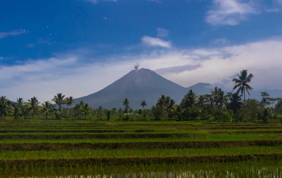 Gunung Semeru dan Mahameru: Panduan Mendaki Puncak Tertinggi Pulau Jawa