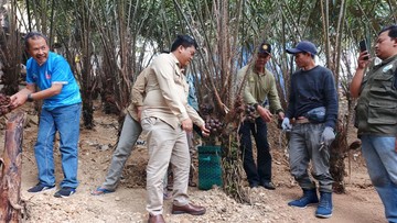 Kementan Gandeng BRIN-UGM Perkuat Hilirisasi Hortikultura, Bidik Pasar Malaysia hingga Arab Saudi