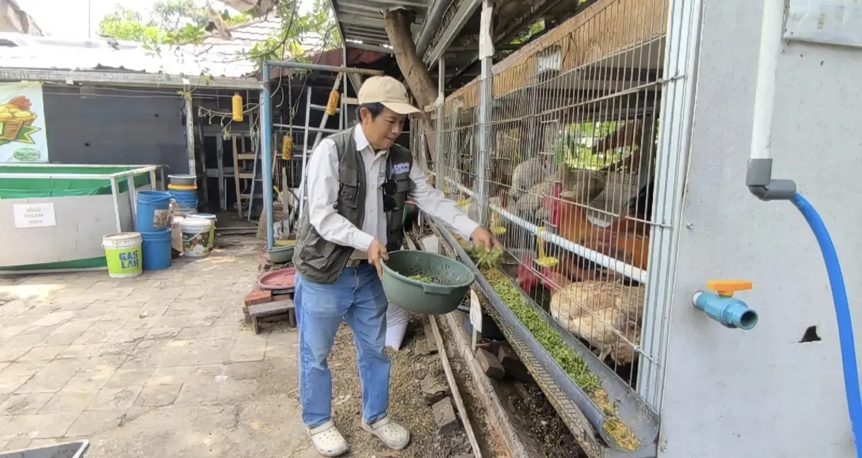 Dosen ITB Gagas Apartemen Ayam Maggot di Bandung, Olah 250 Kg Sampah Organik per Hari