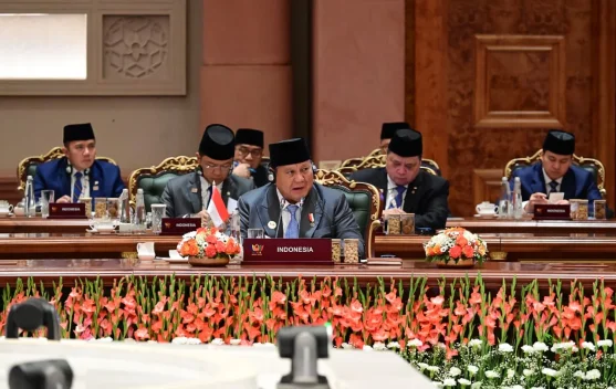 Presiden Prabowo Bawa Spirit Bandung ke KTT BRICS 2026 di New Delhi, Serukan Persatuan Global South