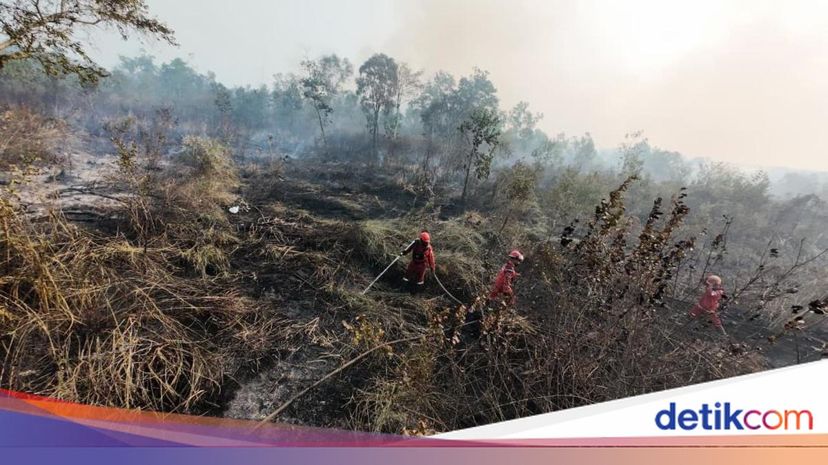 Gubernur Herman Deru Sebut Sumsel Terima Stimulan Rp 30 Miliar untuk Karhutla, Juknis Baru Turun