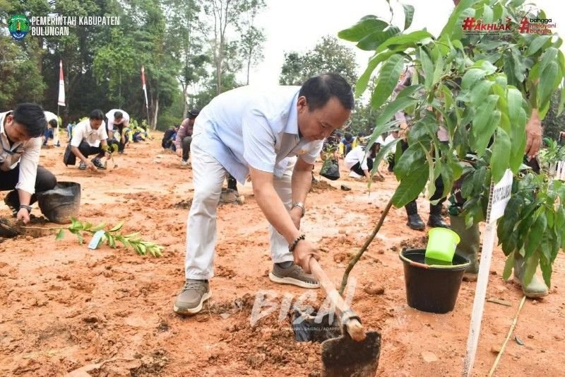 Kodim 0903/Bulungan Tanam 2.500 Pohon di 10 Kecamatan, Wabup Kilat Minta Bibit Dirawat Usai Seremoni