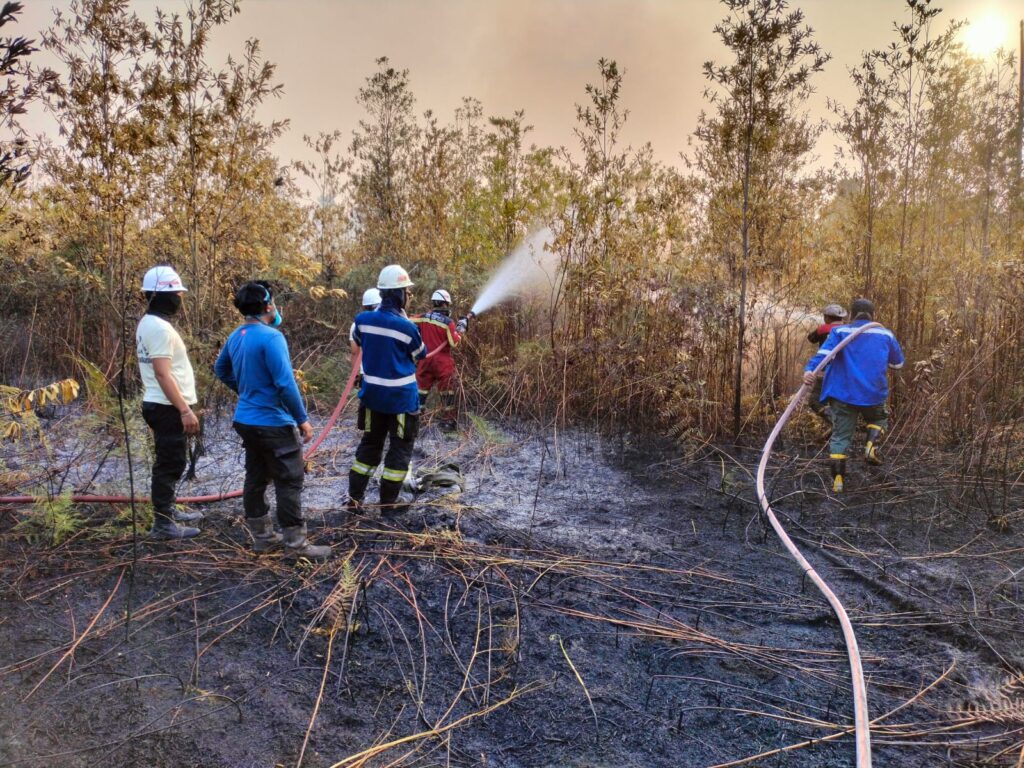 Dishut Kaltara Perkuat Mitigasi Karhutla, 282 Hotspot Terdeteksi hingga 11 September 2026