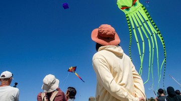 Festival of the Winds 2026 di Bondi Beach, Layang-layang Warni Hiasi Langit Sydney