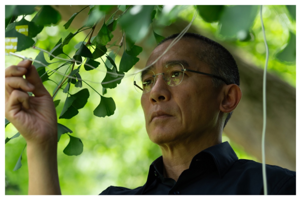 Silent Friend Wakili Hungaria di Oscar 2027, Tony Leung Jadi Andalan