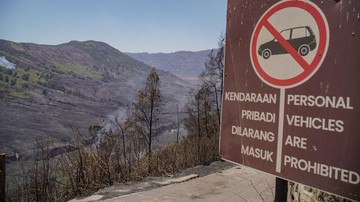 Kebakaran Landa Bromo, Semua Jalur Wisata Ditutup Sementara