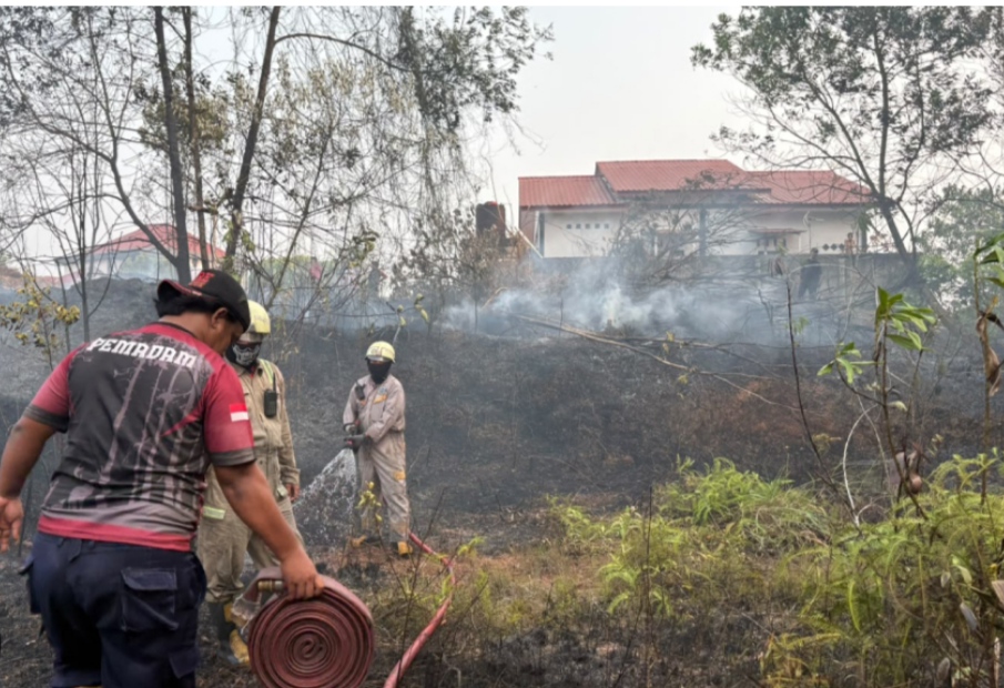 Karhutla Kepri Hanguskan 792,25 Hektare hingga Awal September, Bintan Paling Parah