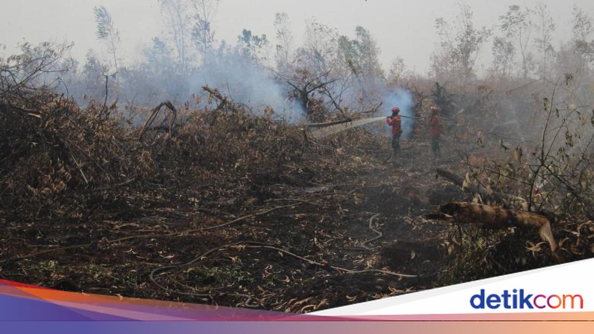 Karhutla Jambi Nyaris 3.000 Hektare, DPRD Soroti 72 Kasus dan Lonjakan ISPA