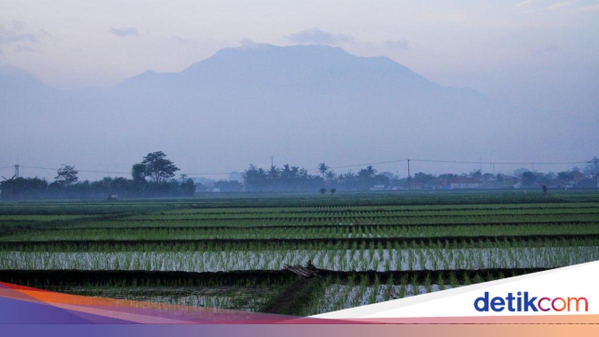 BMKG Prakirakan Cuaca Bandung Berawan Senin 14 September 2026, Suhu 16-32 Derajat Celsius