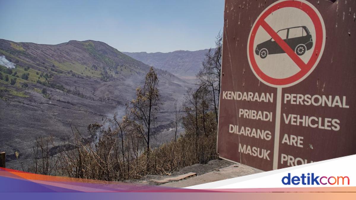 Kebakaran Landa Bromo, Seluruh Jalur Wisata Ditutup Sementara