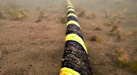 Saham Emiten Kabel Kompak Melejit, CCSI Sentuh ARA di Rp442