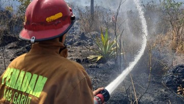 Karhutla Hanguskan 3 Hektare Kaki Gunung Guntur Garut, Api Sempat Dekati Permukiman